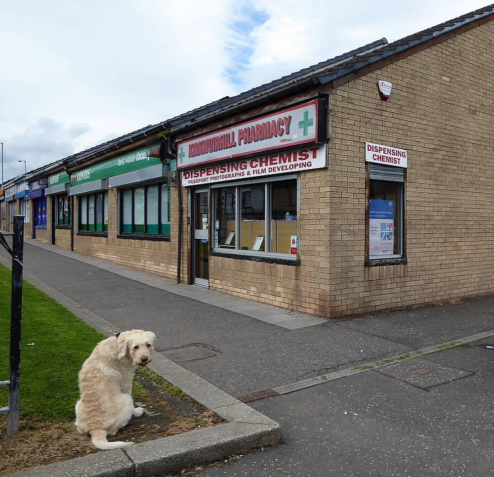 Kirkmuirhill Pharmacy and patient dog